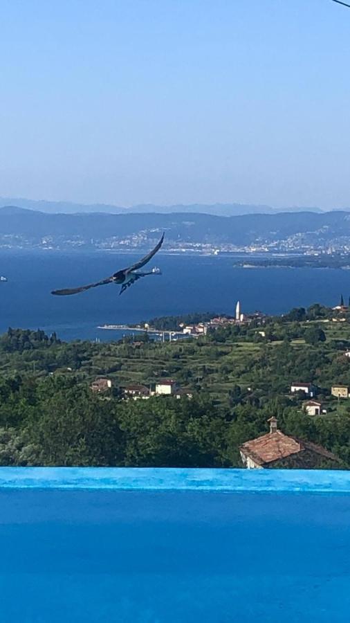 Apartmaji Meli Pu Izola Dış mekan fotoğraf