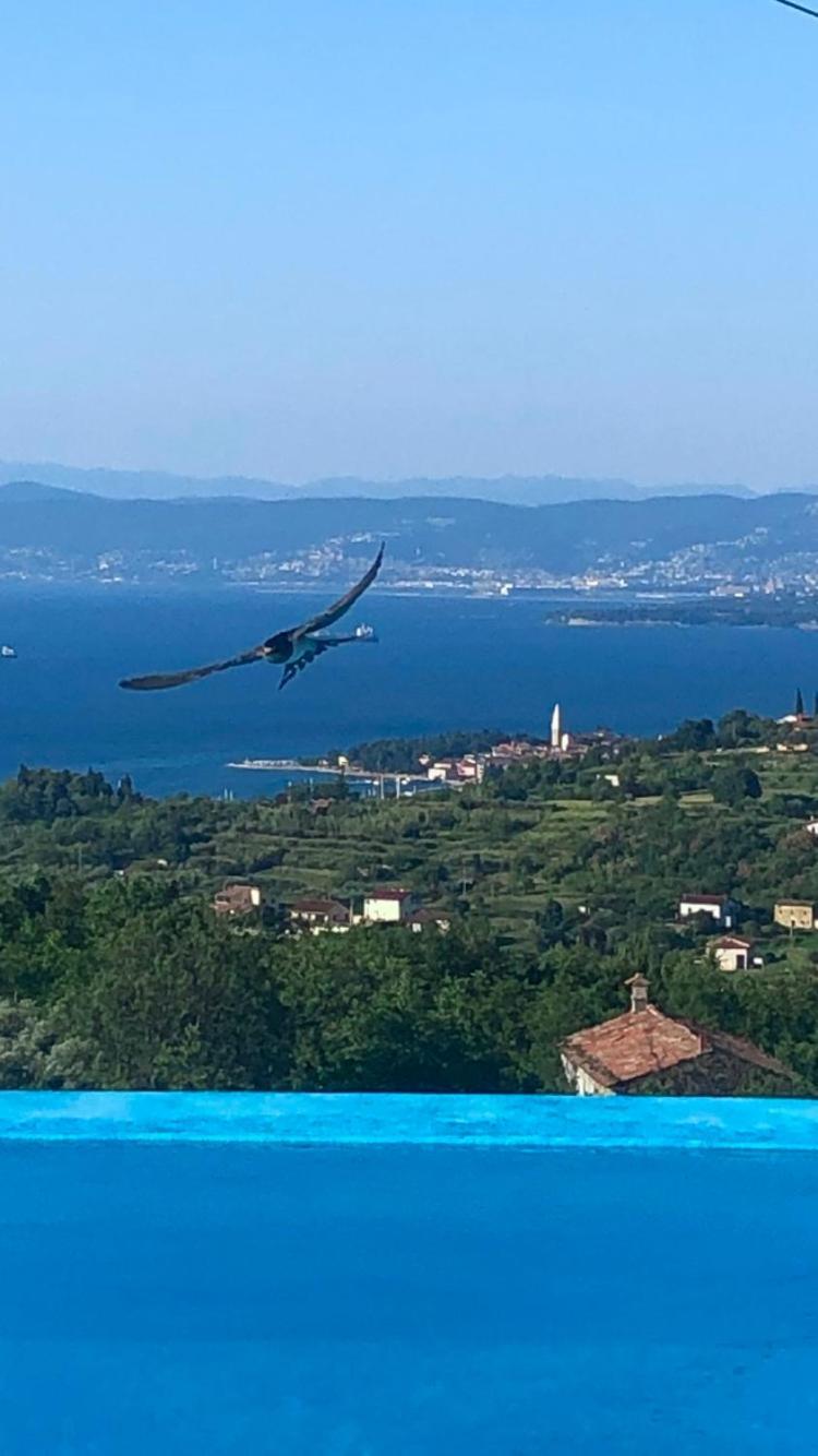 Apartmaji Meli Pu Izola Dış mekan fotoğraf